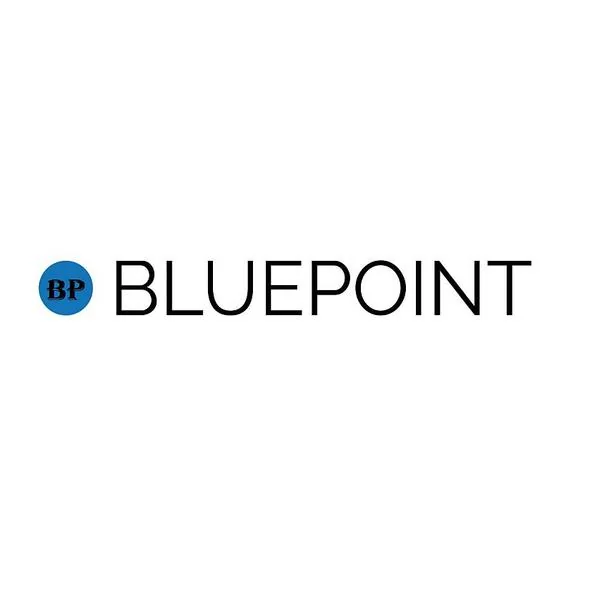 BLUEPOINT satılık tescilli marka görseli